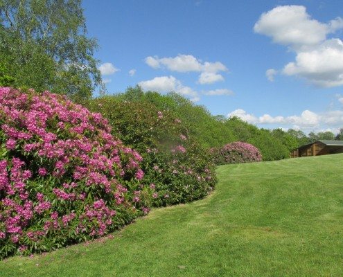 14 Dintorni di Fleurs (8)